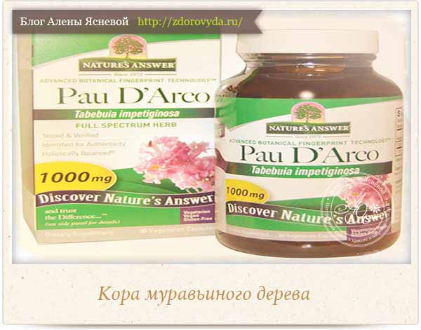 Кора муравьиного дерева или Pau D'Arco