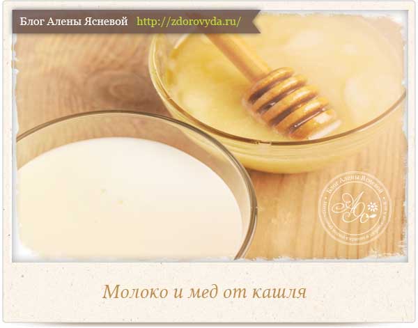 Как правильно приготовить молоко с медом от кашля thumbnail