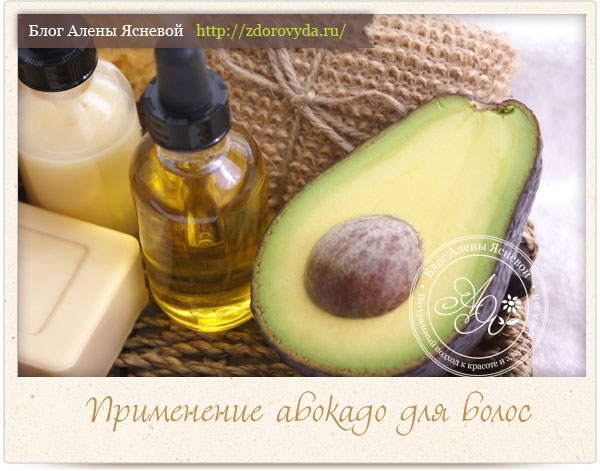 Плод и масло авокадо для волос 
