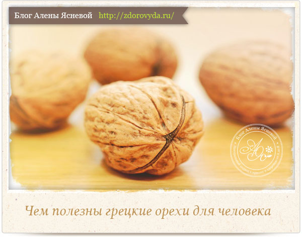 Чем полезны грецкие орехи для человека